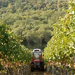 Abbadia Wine Relais