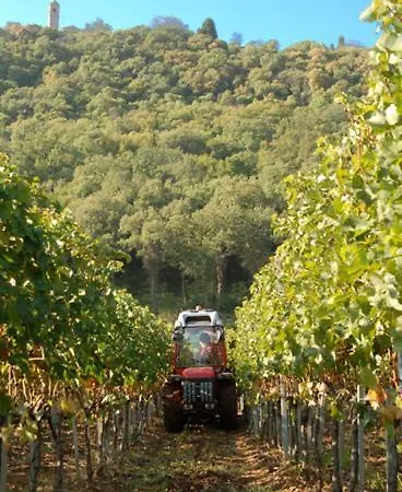 Abbadia Wine Relais