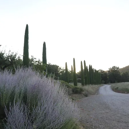 Abbadia Wine Relais B&B 몬테폴로니코