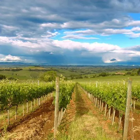 Bed & Breakfast Abbadia Wine Relais Montefollonico