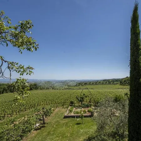 Abbadia Wine Relais Bed & Breakfast Montefollonico