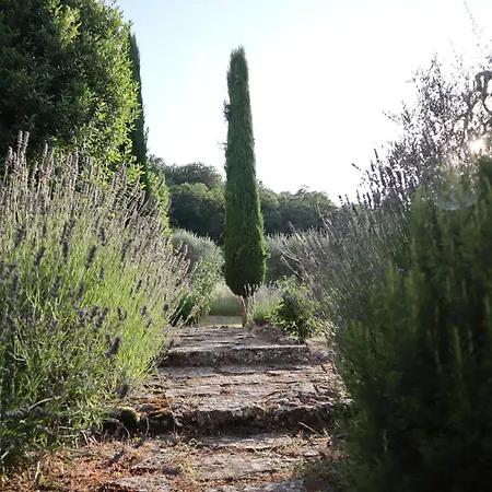Abbadia Wine Relais Bed & Breakfast *