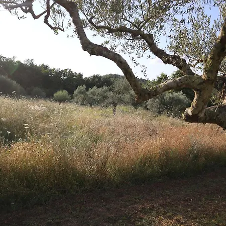 Bed & Breakfast Abbadia Wine Relais *