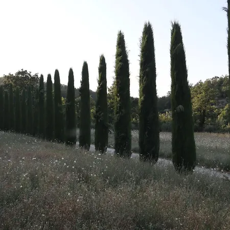 Bed & Breakfast Abbadia Wine Relais Montefollonico