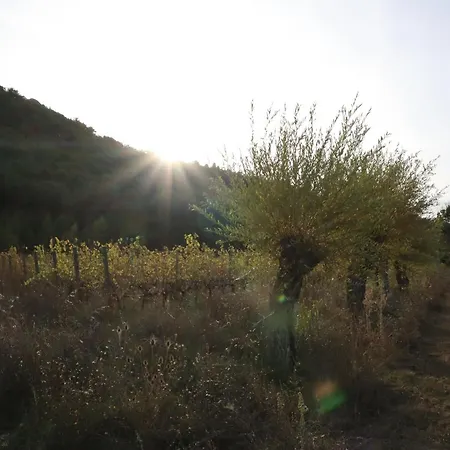 Abbadia Wine Relais * Montefollonico