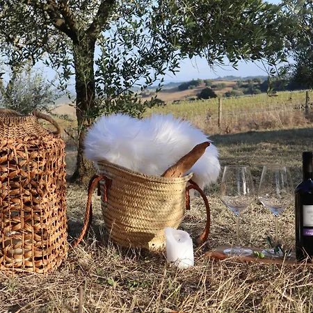 Abbadia Wine Relais Bed & Breakfast *