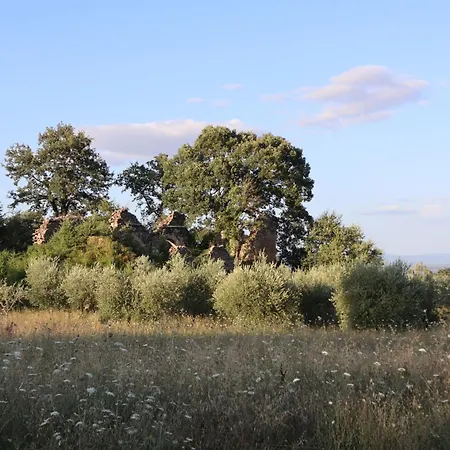 Abbadia Wine Relais Bed & Breakfast