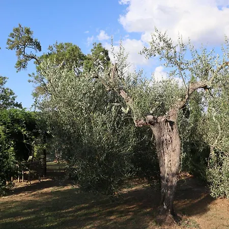 Bed & Breakfast Abbadia Wine Relais Montefollonico