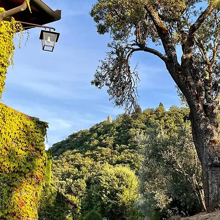 Abbadia Wine Relais Bed & Breakfast